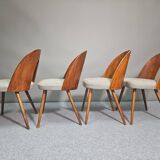 Chaises conçues par Antonín Šuman pour Tatra Nabytok, Tchécoslovaquie des années 1960.