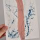Cyanotype collage