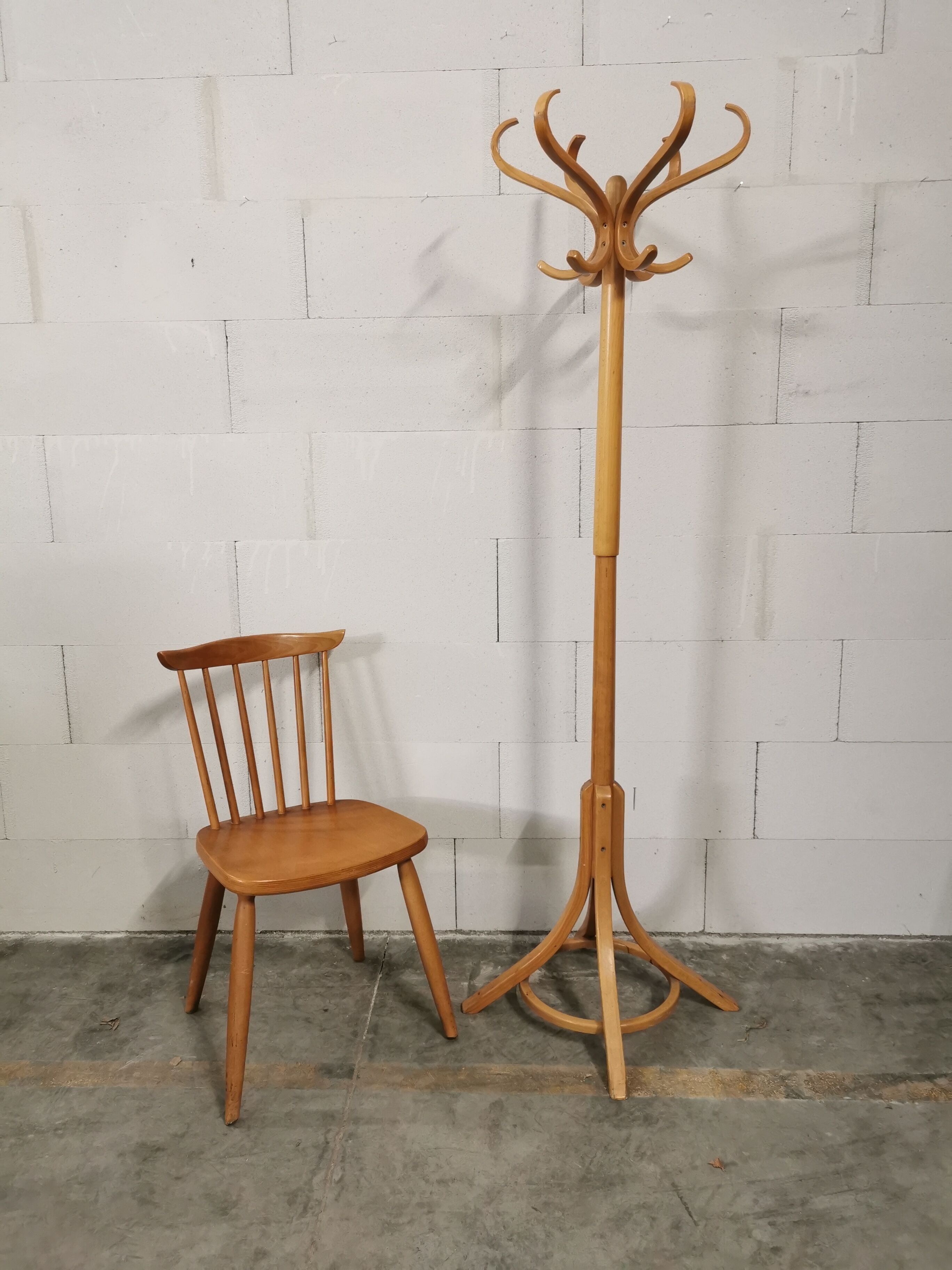 Baumann parrot coat holder