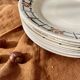 Lot de 9 assiettes plates anciennes Ste Amandinoise St Amand made in France