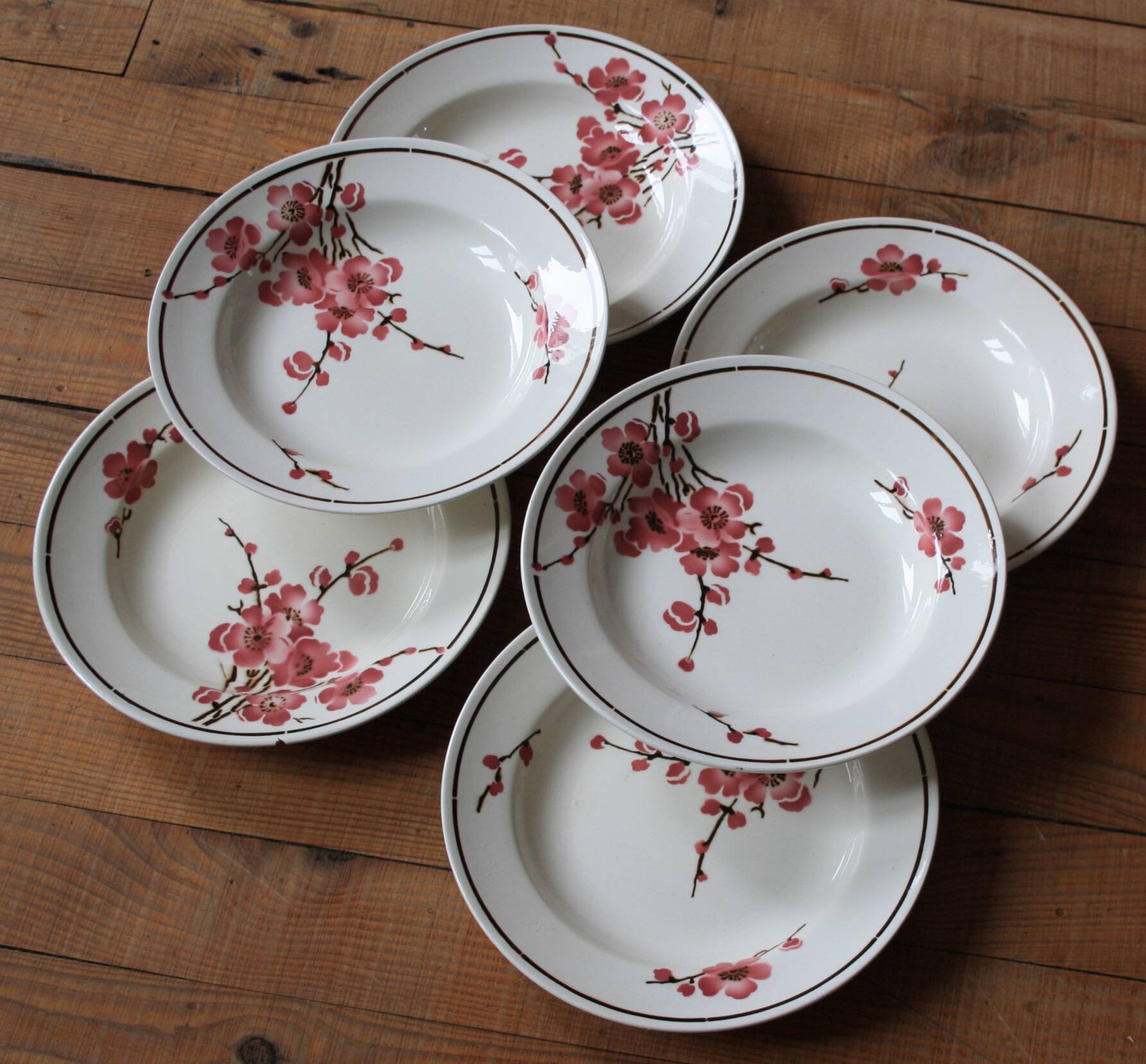 Set of 6 Terre de Fer St Amand "cherry" deep plates