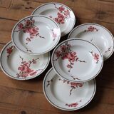 Set of 6 Terre de Fer St Amand "cherry" deep plates