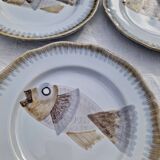 Lot de 9 assiettes plates saint Amand decor poissons