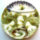 Old dabbling plate with 2 artichokes with leaves and several asparagus