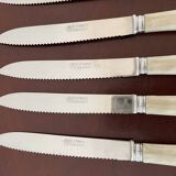 Set of 12 vintage knives and case