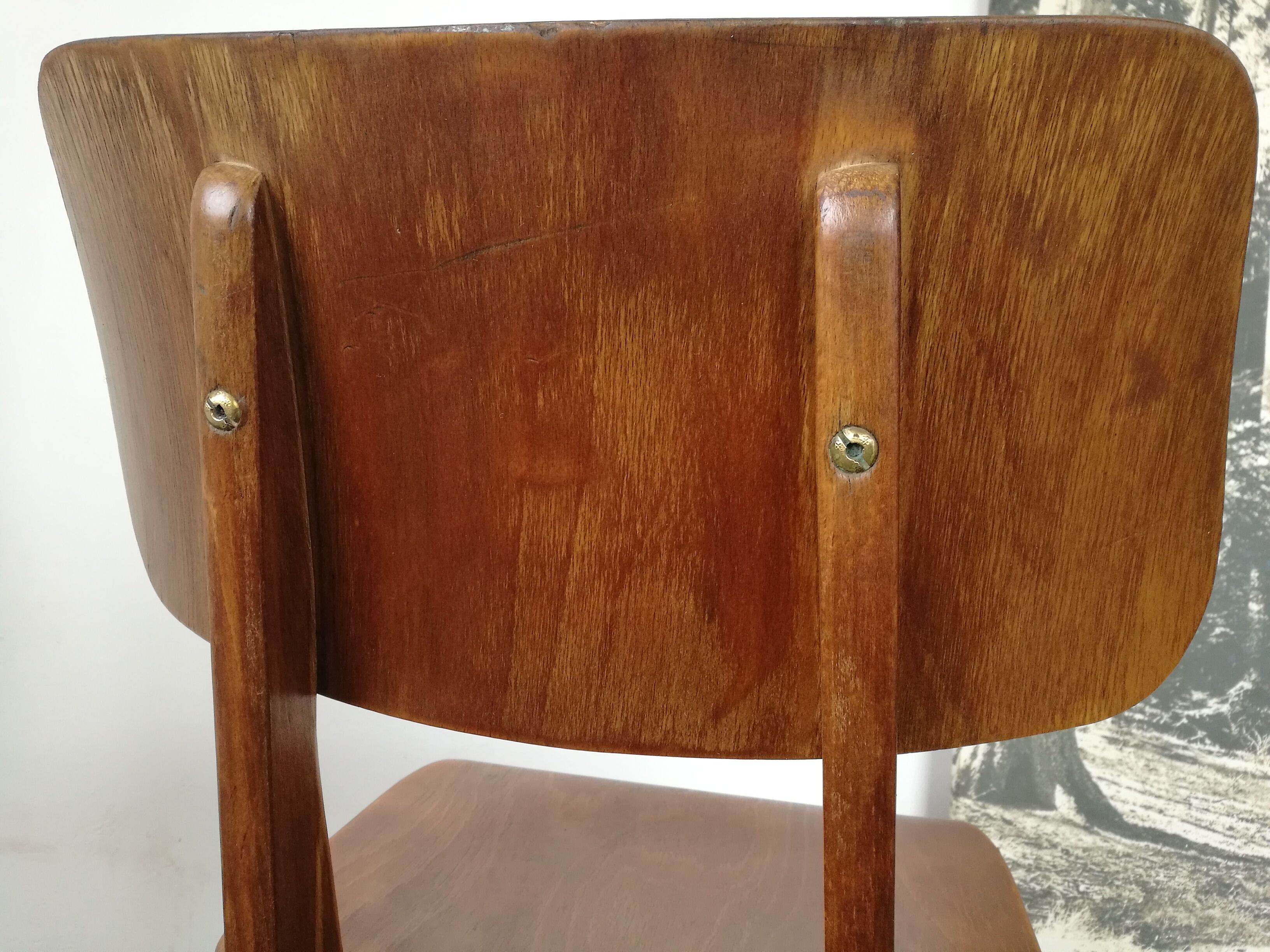 Adult Casala chair