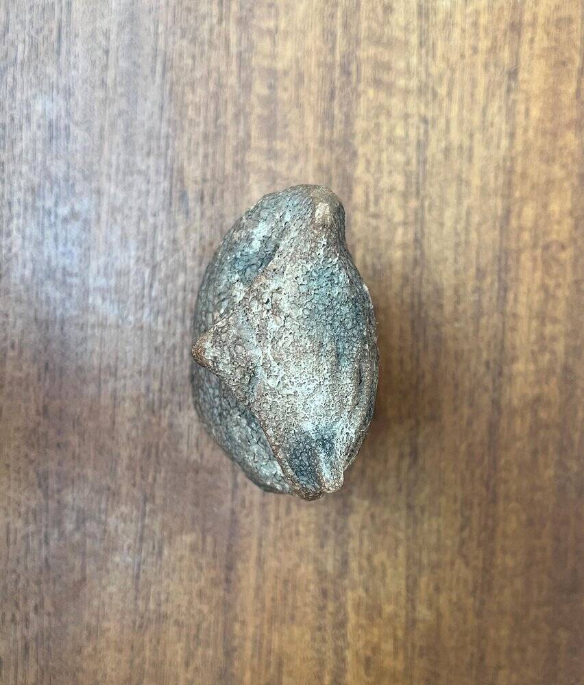 Owl sculpture in Italian pottery from the mid-century by Aldo Londi for Bitossi, 1960s.