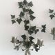 Pair of ivy wall lights