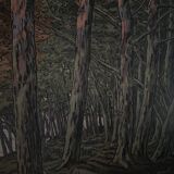 Lithographie par Henri Rivière Les Aspects de la Nature - Soir d'Été