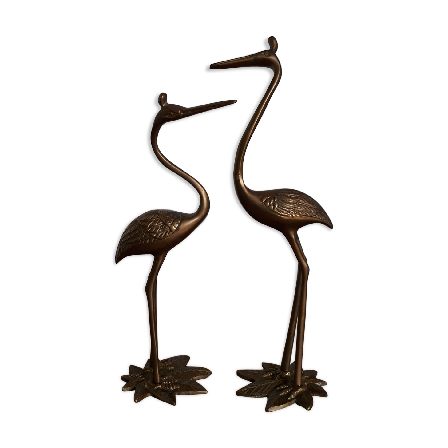 Herons or brass wader birds