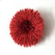 Jujuhat rouge 50 cm