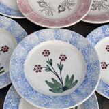 6 mismatched Sarreguemines plates