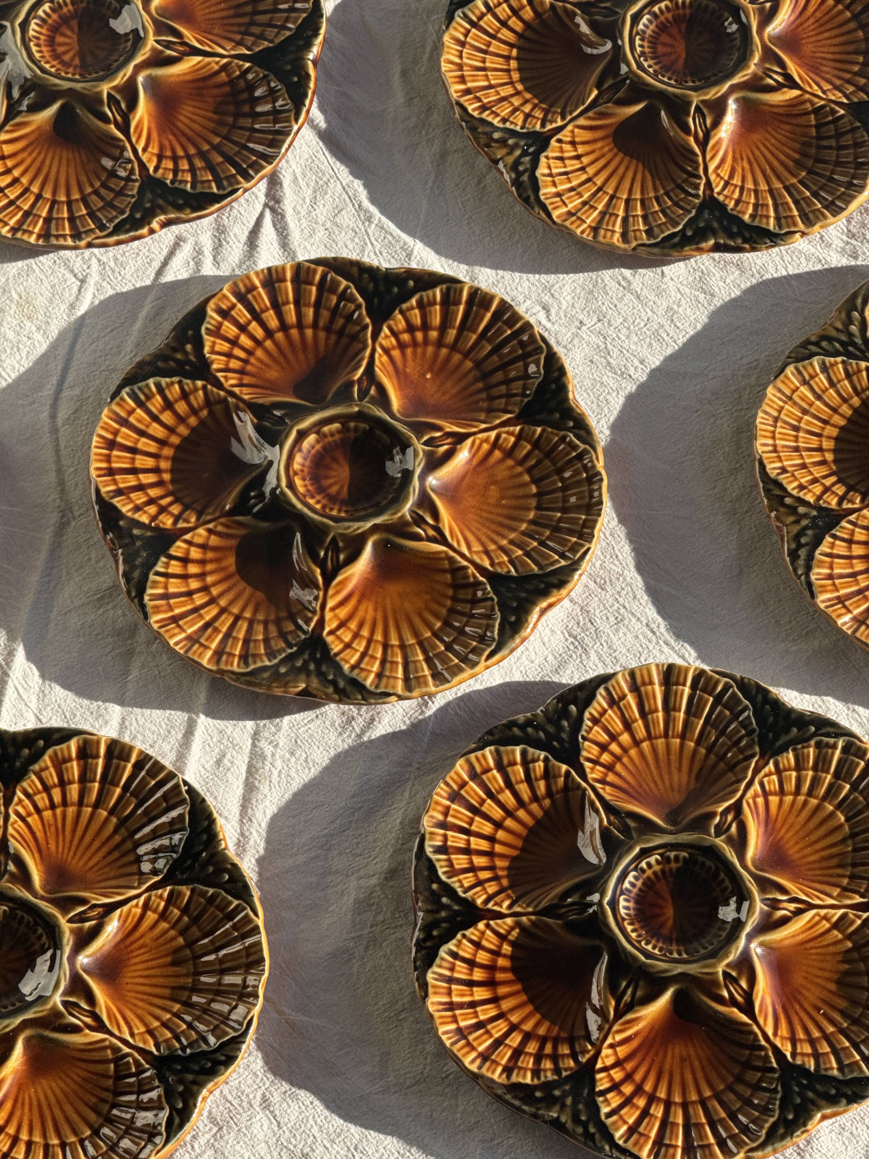 Set of 12 oyster or shell plates in glazed brown ceramic D