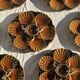 Set of 12 oyster or shell plates in glazed brown ceramic D
