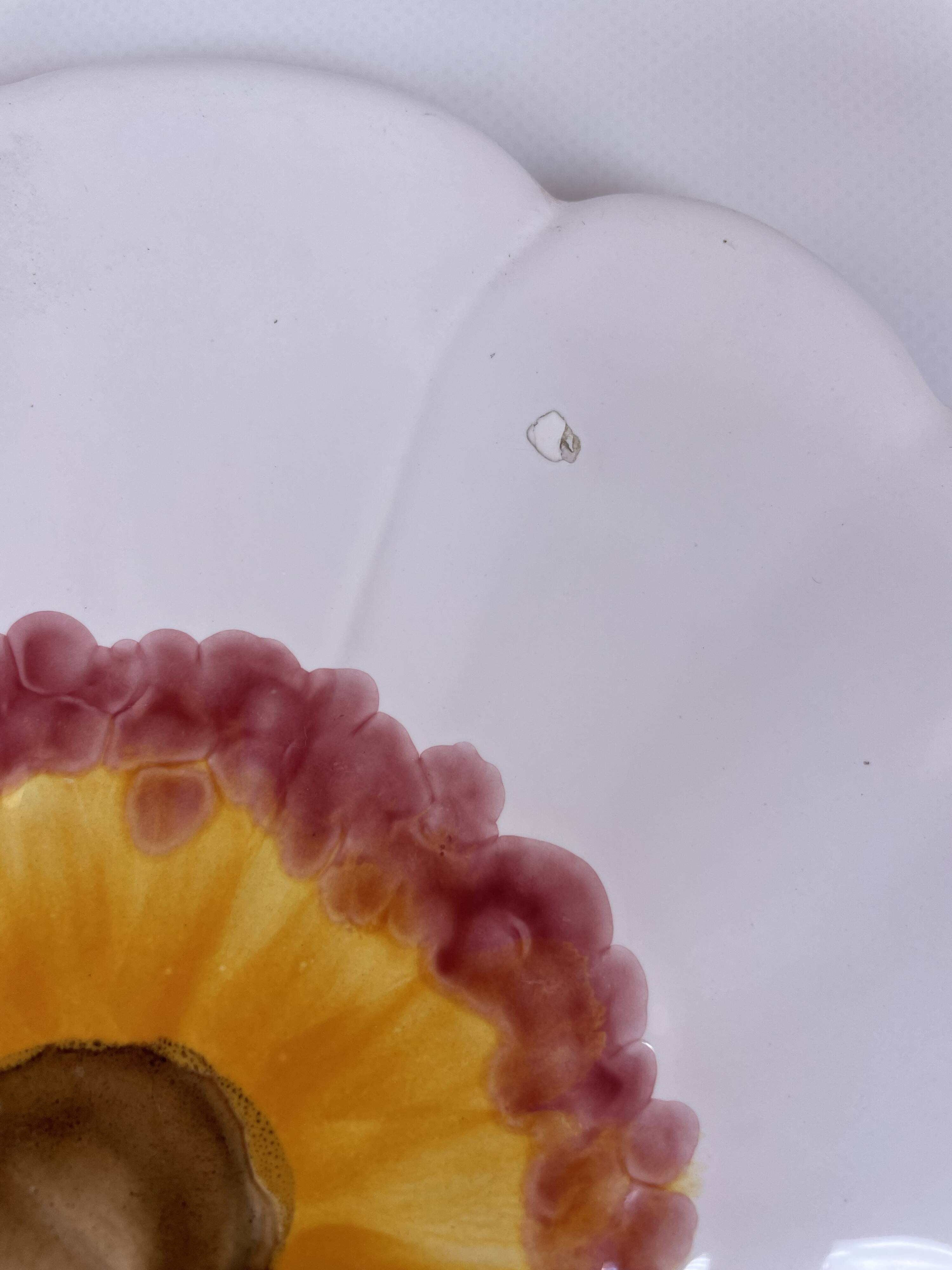 Assiette fleur en céramique de Vallauris