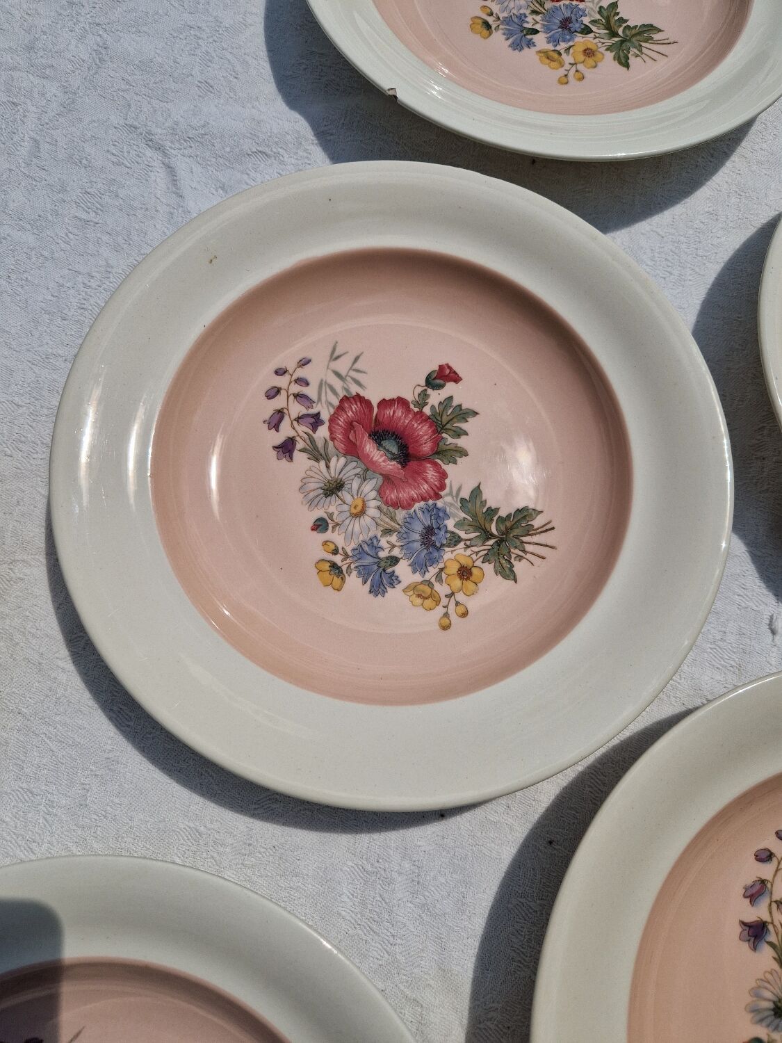 10 Vintage Villeroy & Boch Soup Plates Model 1584
