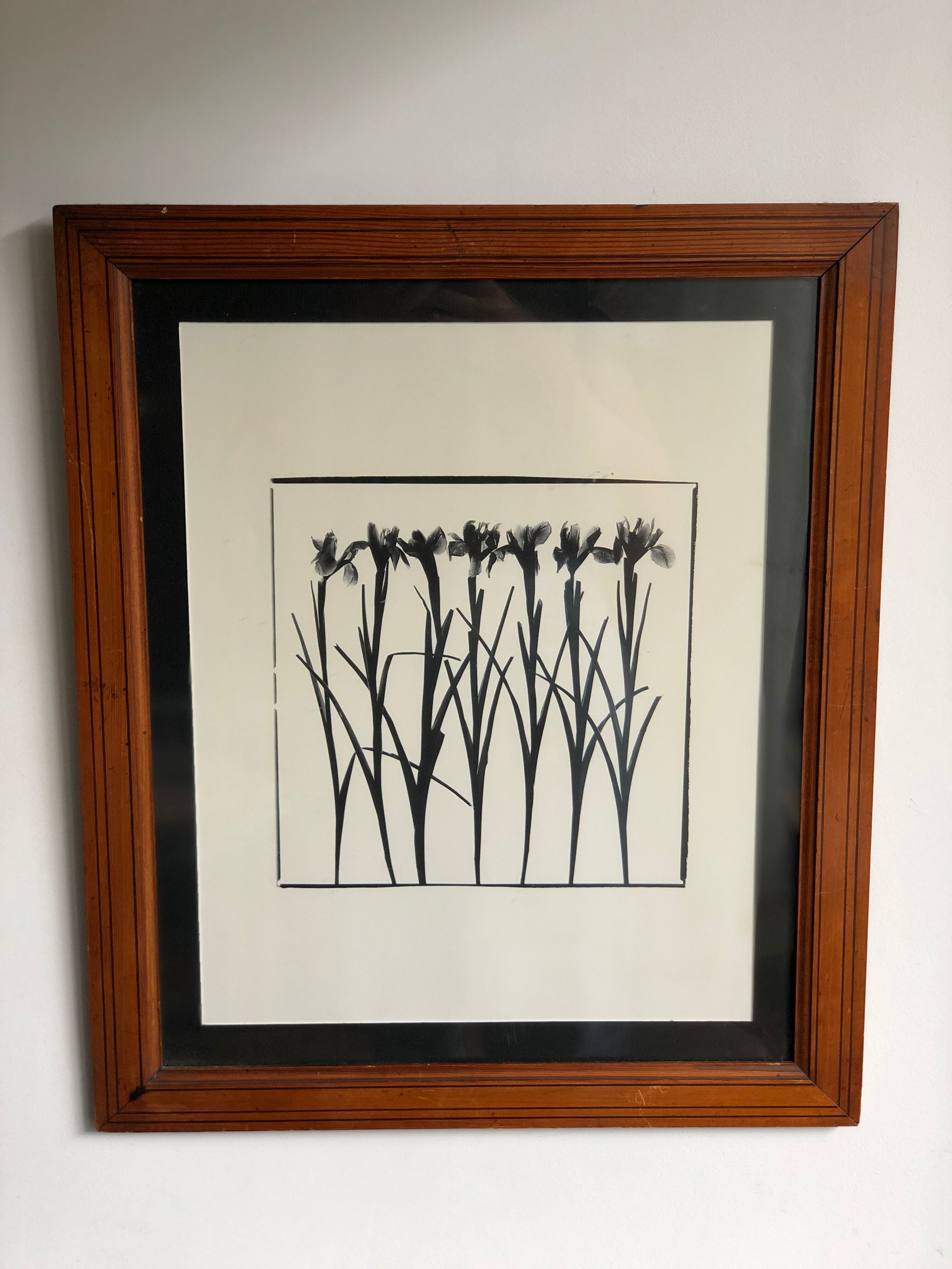 Flowers framed printing