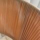 Fauteuil lounge au design circulaire vintage