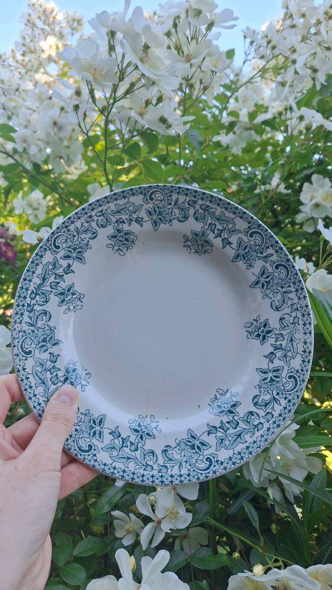 Set of 4 antique ironstone plates from Saint-Amand, "Jane" model.