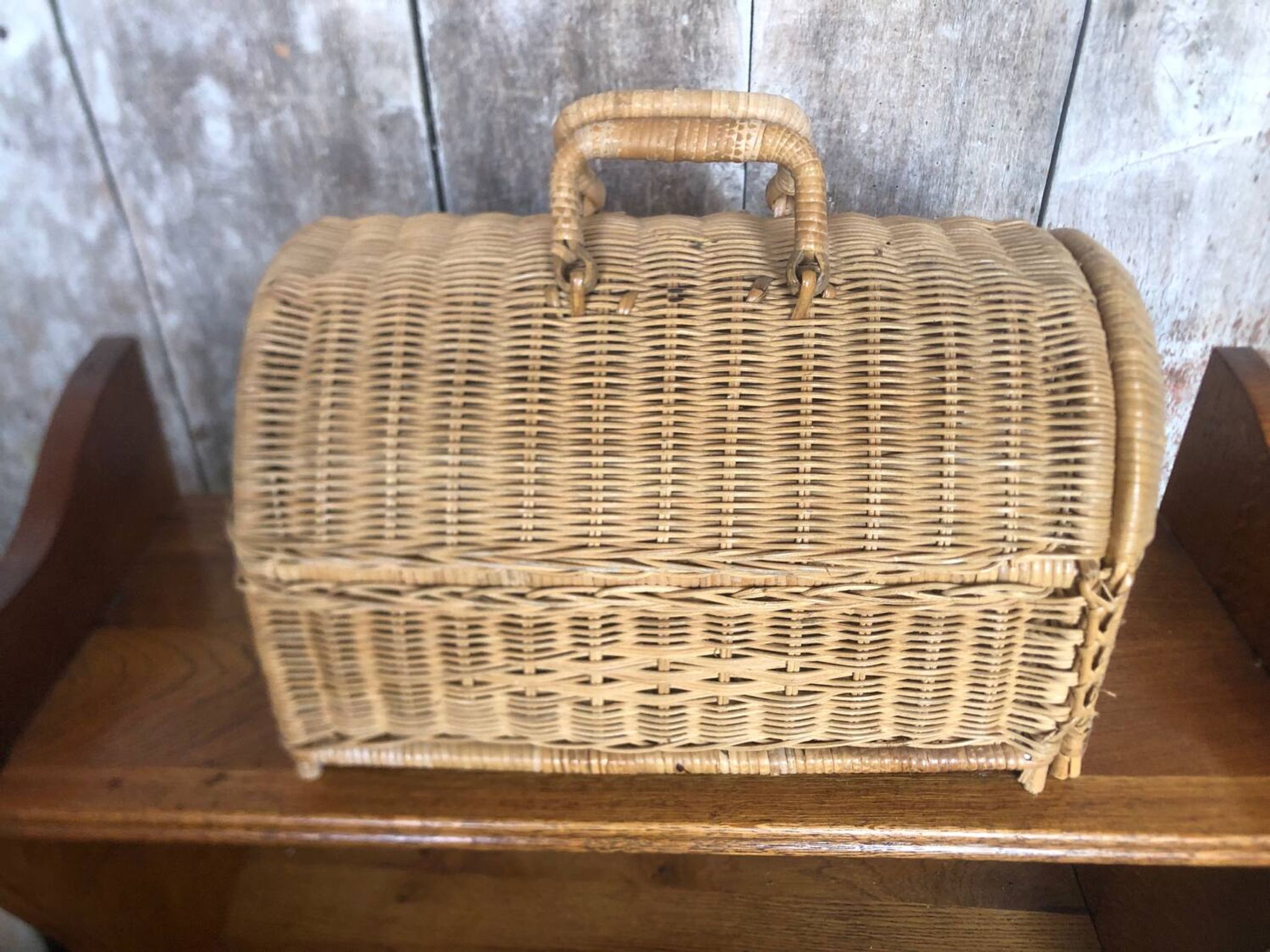 Old basket transport trunk rattan cage puppies kittens animals vintage
