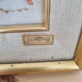 Vintage frame naturalized butterflies