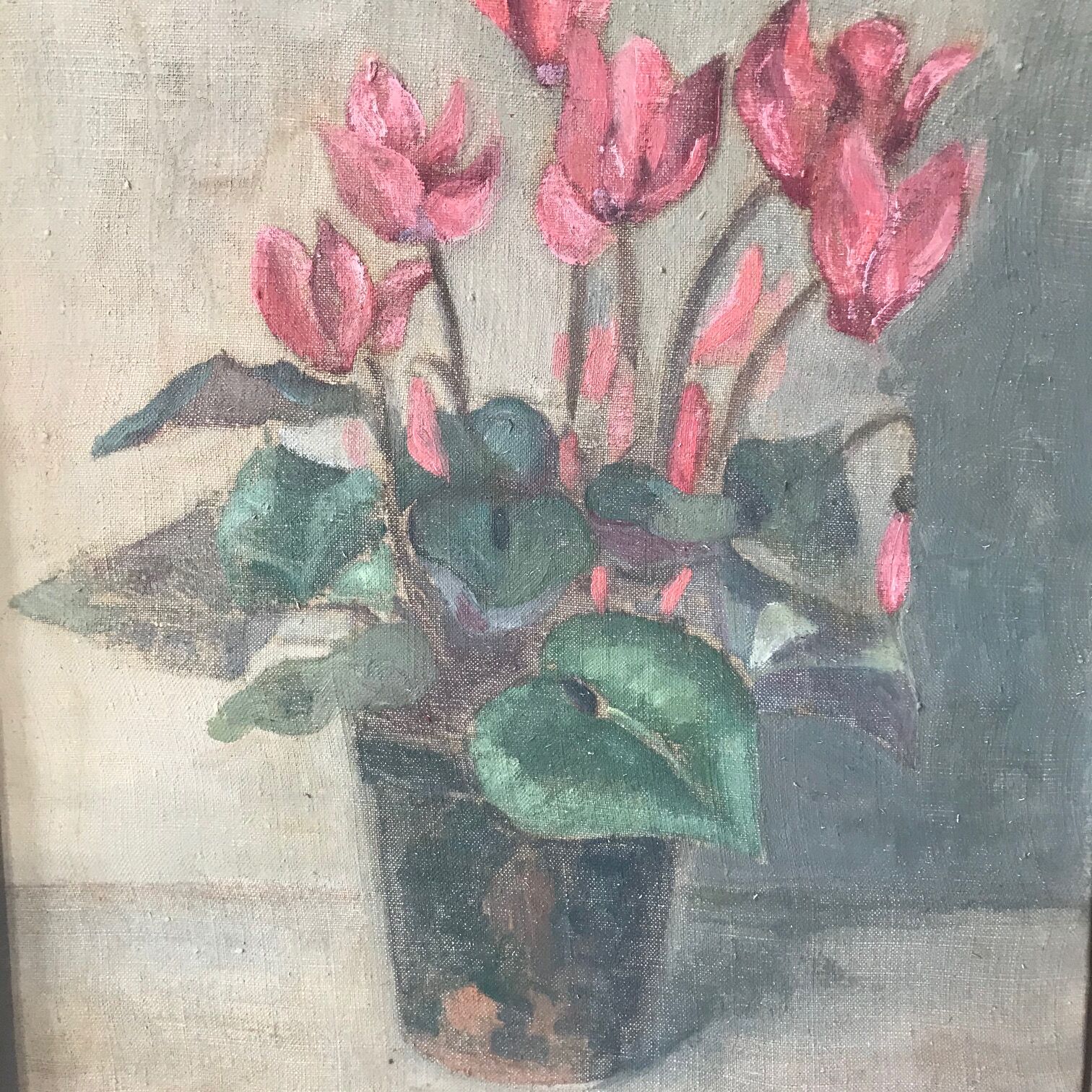 cyclamen charm painting