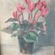 Tableau cyclamen charme