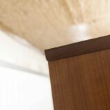 Scandinavian teak cabinet 1960 with mounting plan