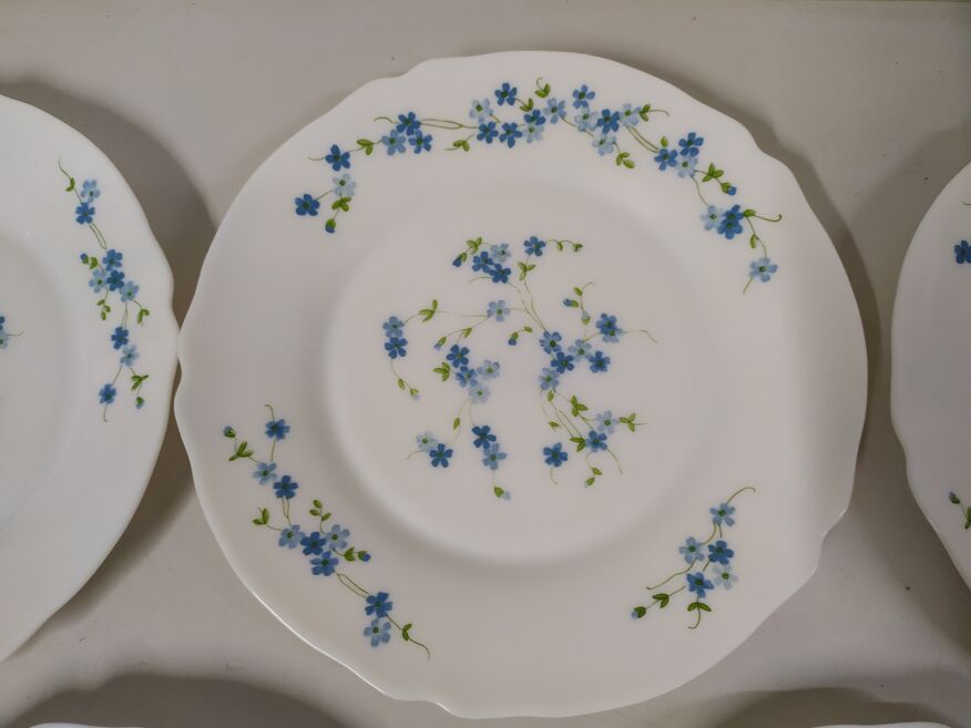 Assiettes plates Arcopal bleues