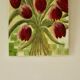 Nature morte aux tulipes – toile vintage d'un artiste non identifié
