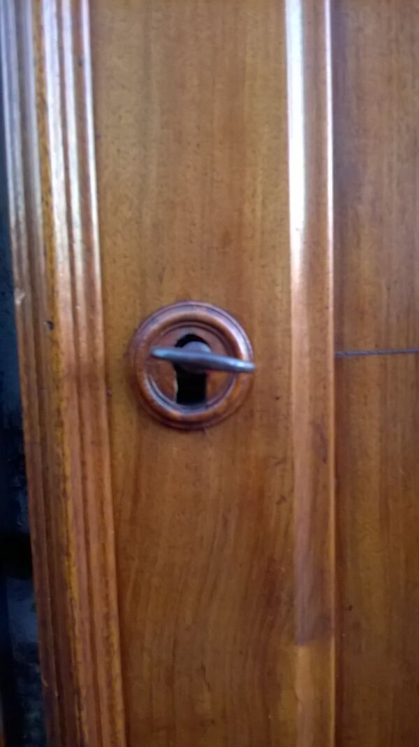 Ancienne paire de portes armoire