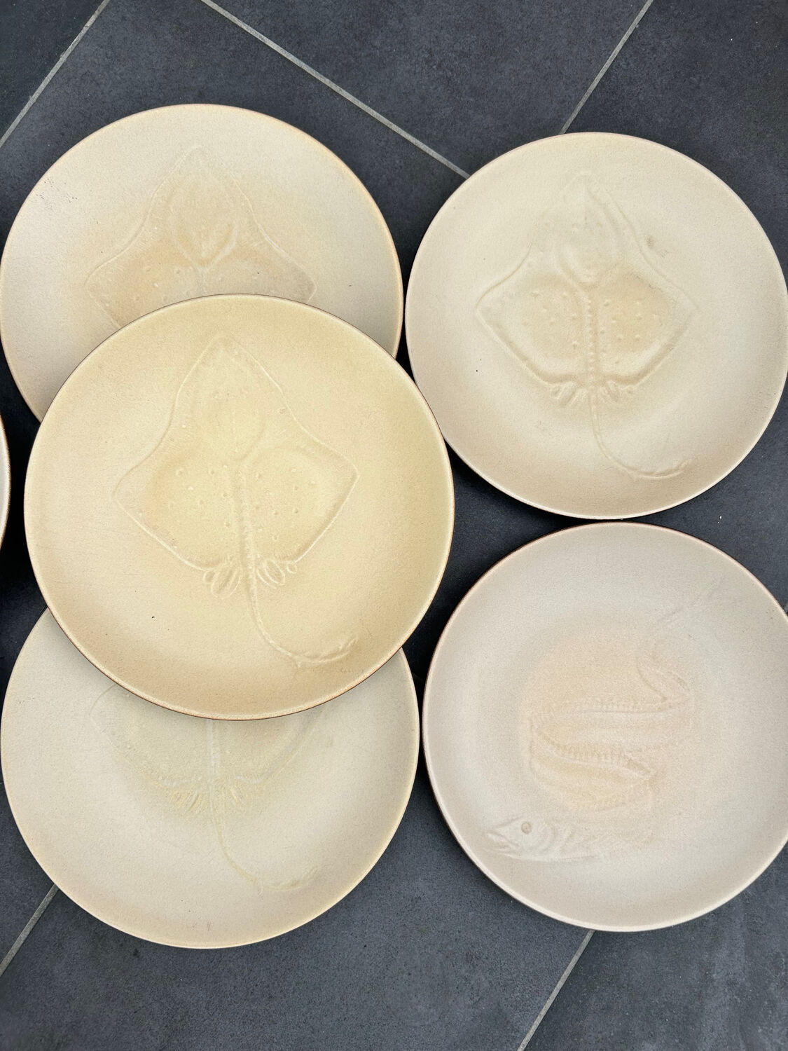 12 plates and stoneware saucière Fish