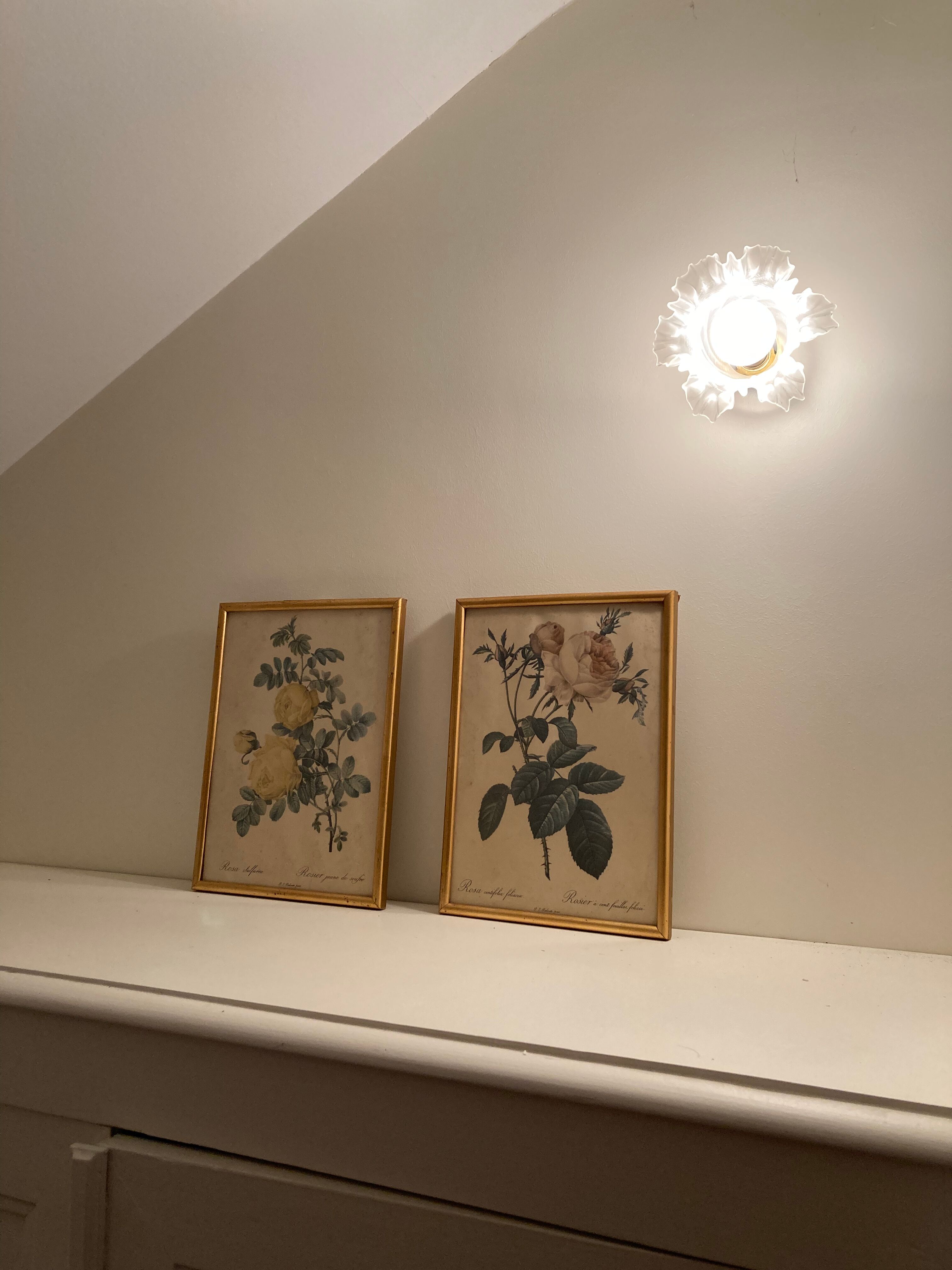 Pair of floral engravings signed redouté