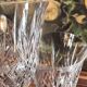 Crystal glass trio