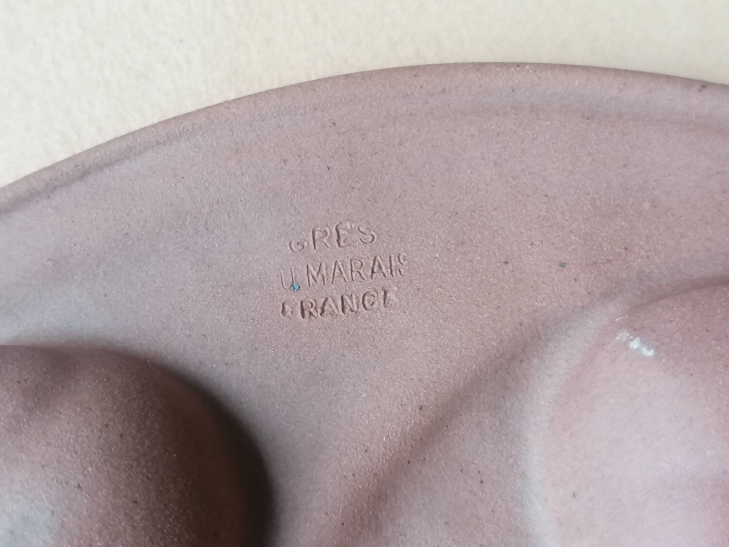 8 snail plates sandstone from the marsh France