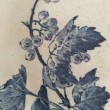 Duo of Gien plates, Groseilles model