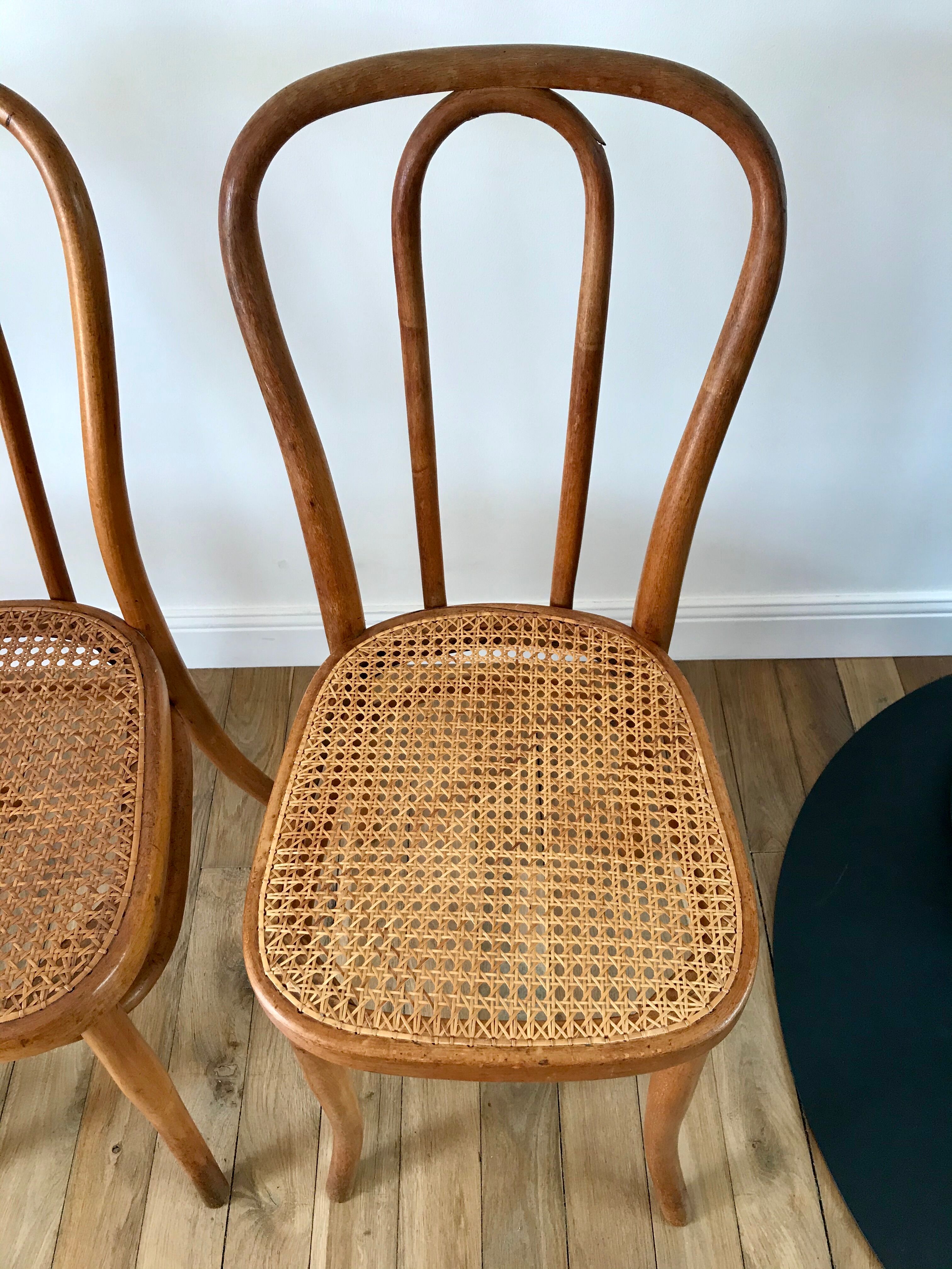 Set of 4 cane chairs in bentwood and honey-coloured cane thonet early 20th century