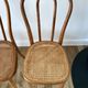Set of 4 cane chairs in bentwood and honey-coloured cane thonet early 20th century