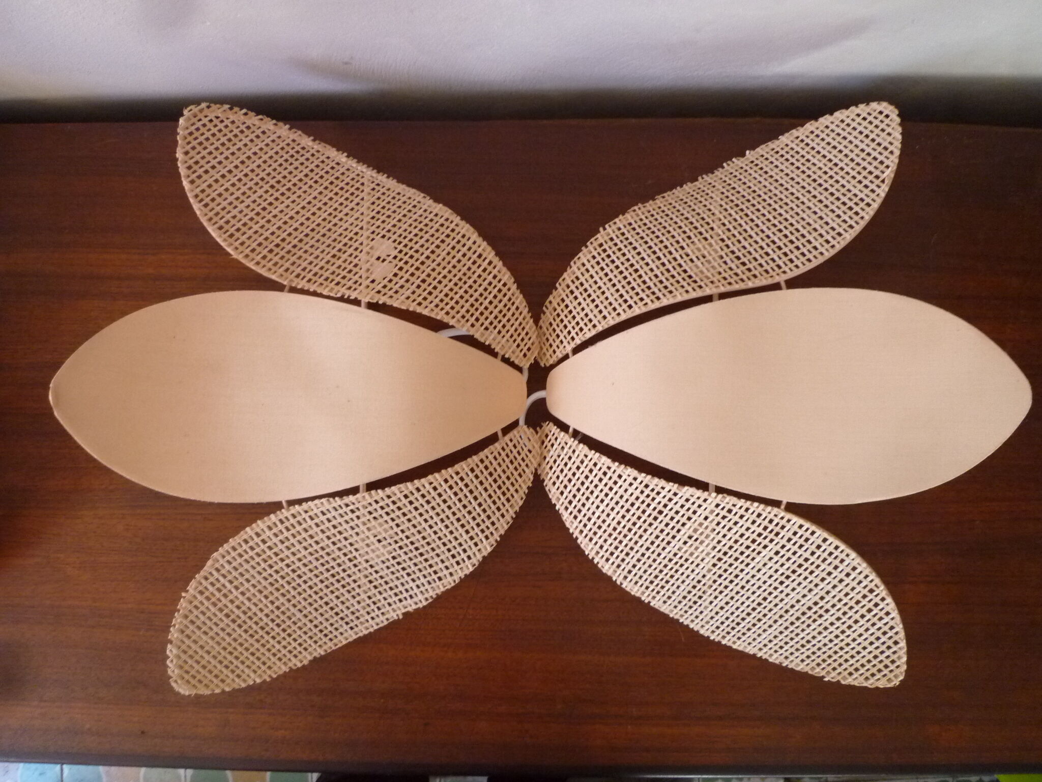 Duo of pink corolla sconces