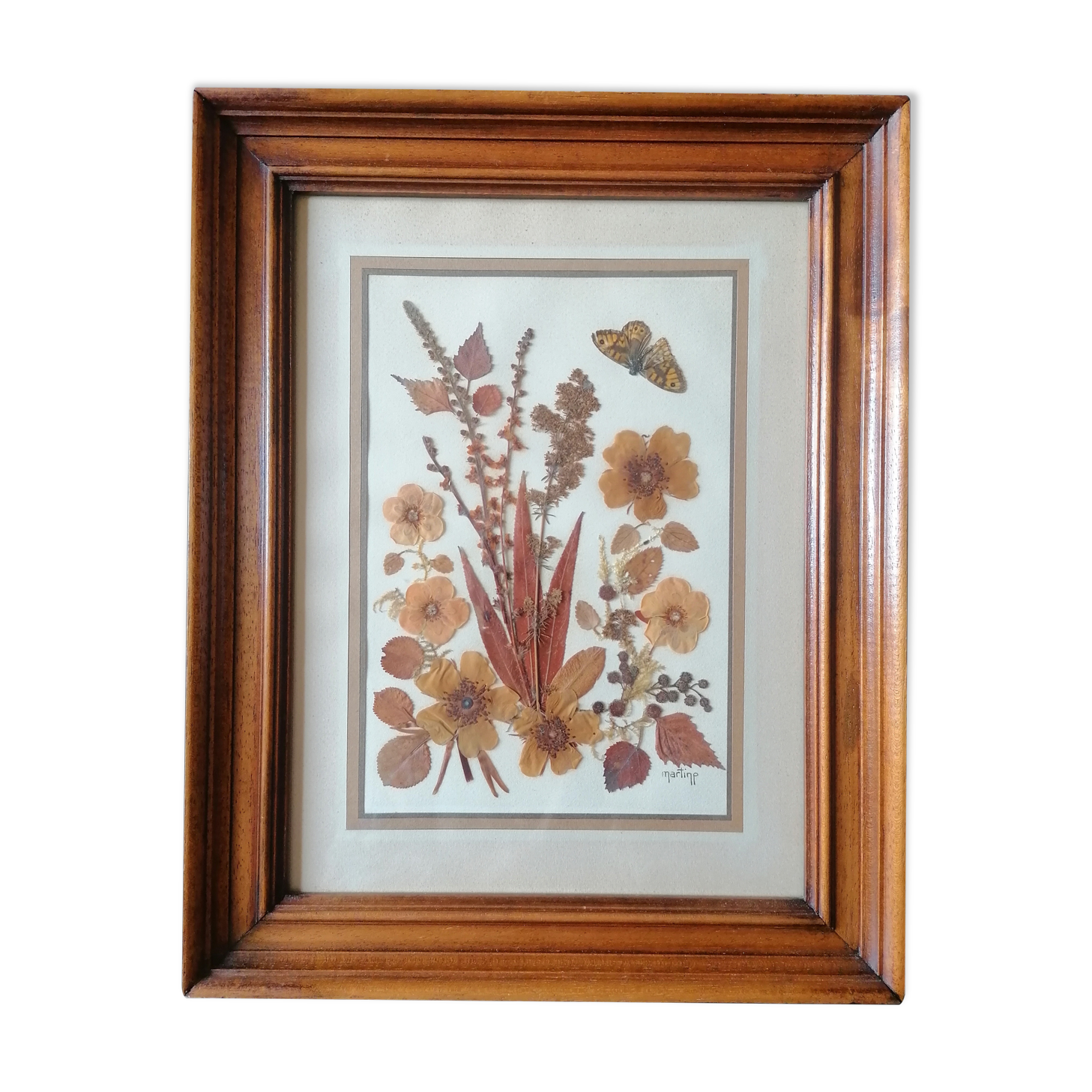 Ancient herbarium