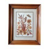 Ancient herbarium