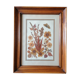Ancient herbarium