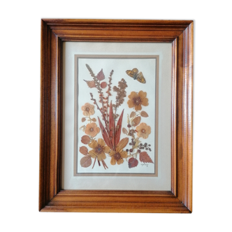Ancient herbarium
