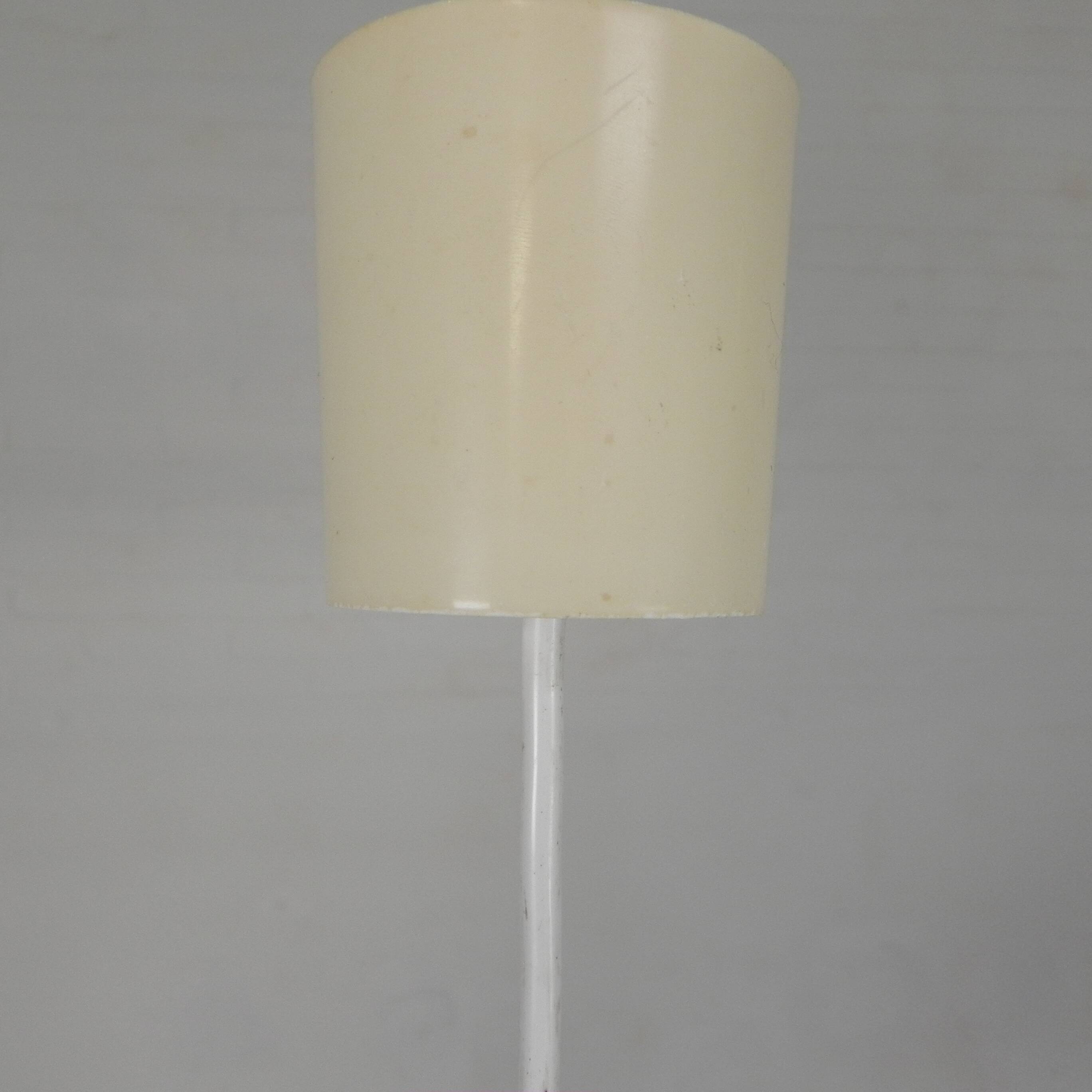 Vintage hanging lamp with rattan shade, palm leaf and fabric, 1970s