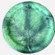Barbotine plate leaf the red cedar