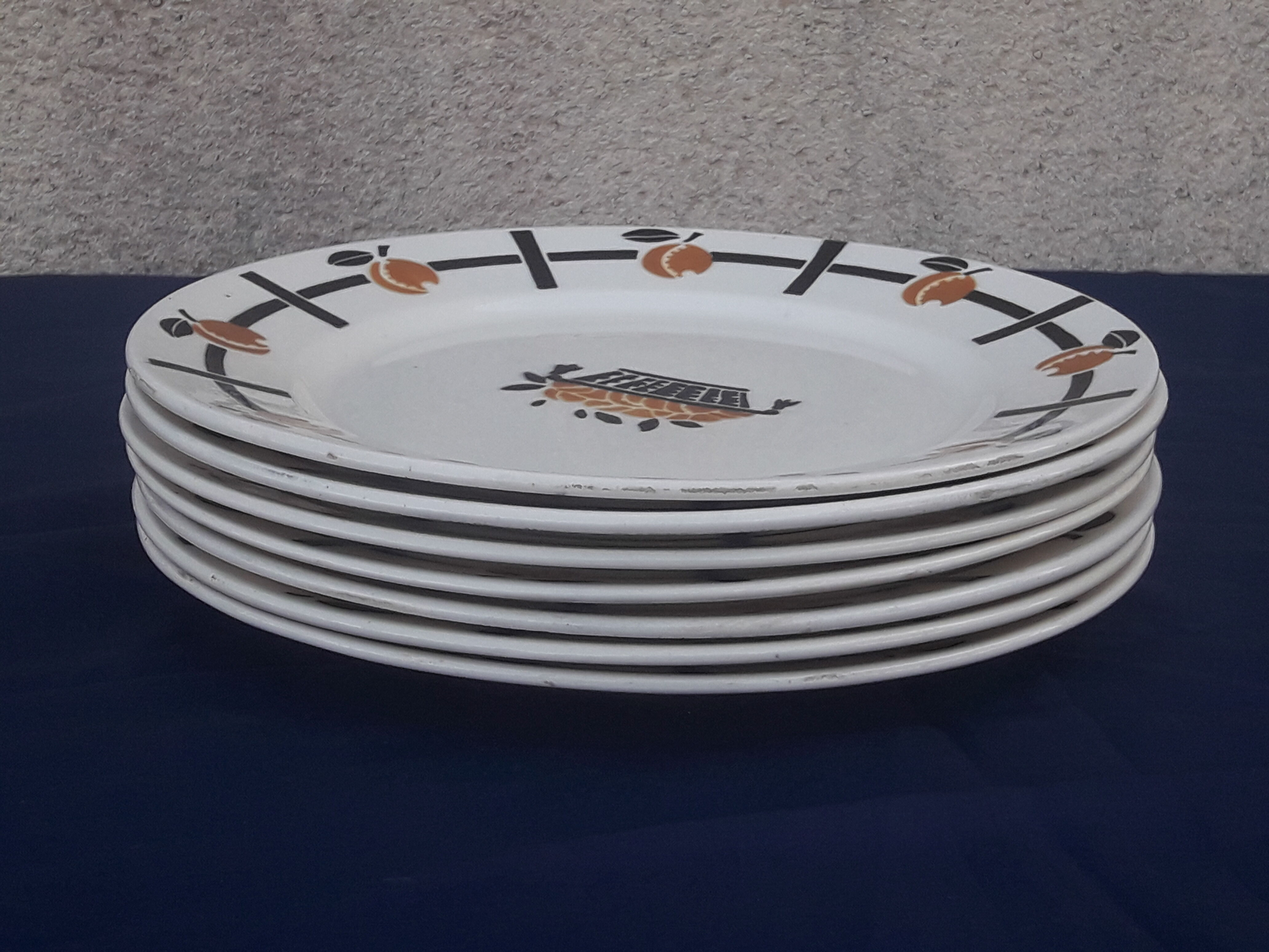 7 flat plates made of Earthenware from Badonviller DOC diam basket pattern 24 cm