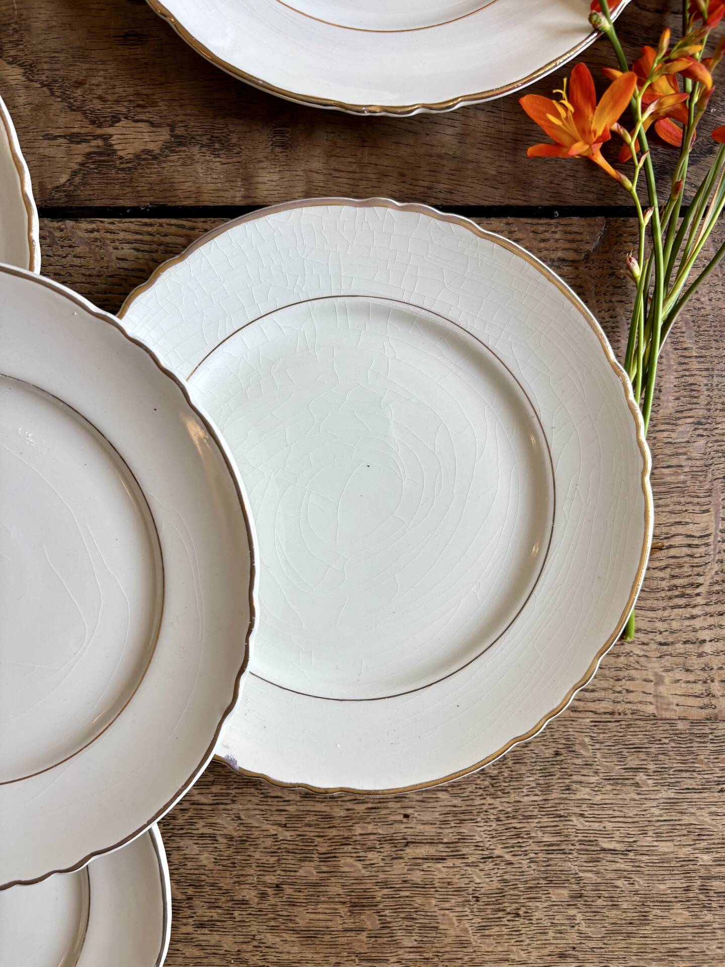 Set of 8 vintage dessert plates Moulin des Loups