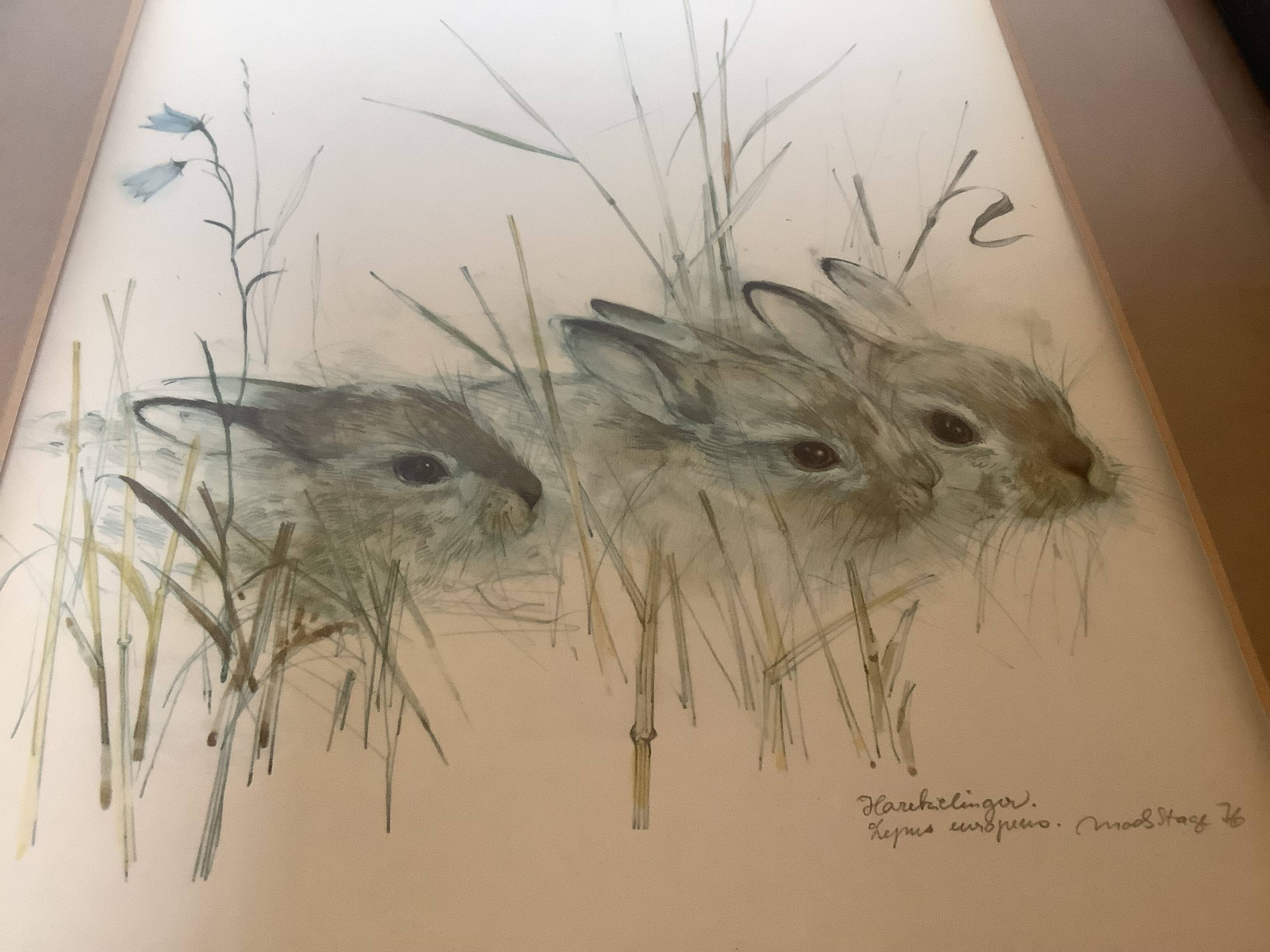 Grand cadre avec des lapins dans la nature
