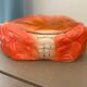 Crabe barbotine M. Caugant