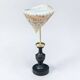 Nacre cone shell Troca on a turned black wooden base, late 19th century.